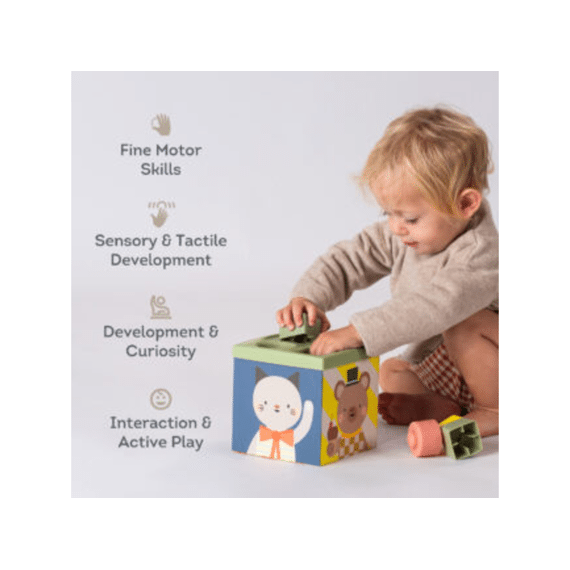 Taf Toys 13645 Play & Discover Cube