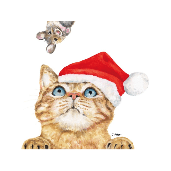 Ppd Servetten 33cm 20stuks Who Are You?