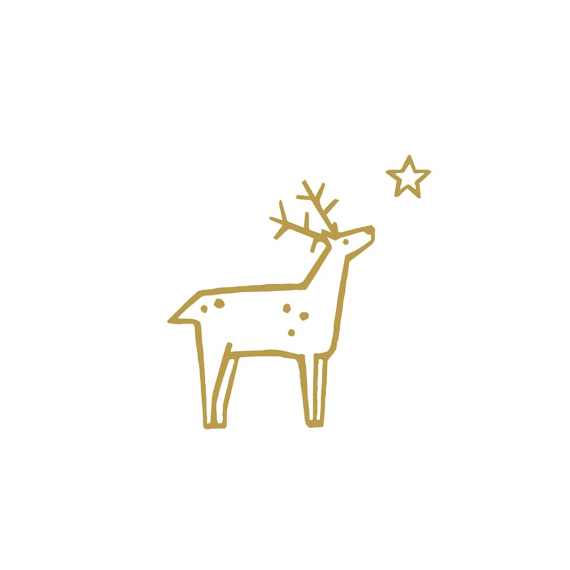 Ppd Servetten 33cm 20stuks Wishing For A Star