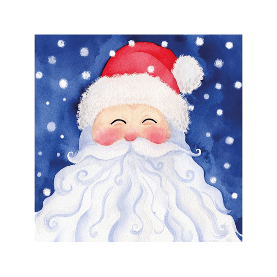 Ppd Servetten 33cm 20stuks Finally