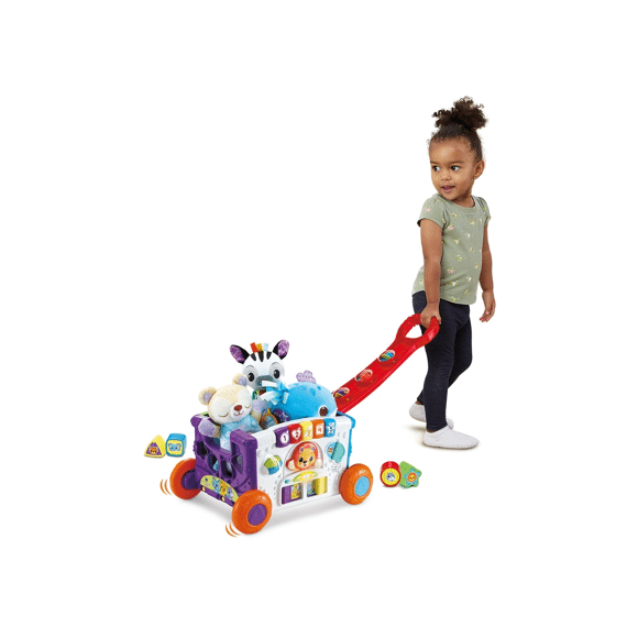 Vtech Baby Sorteer & Leer Wagen