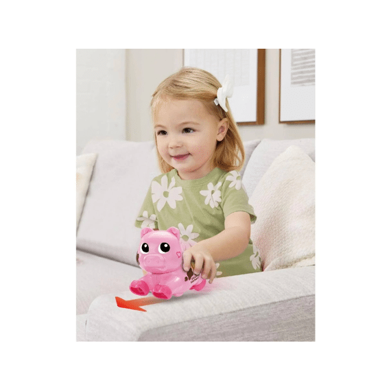 Vtech Rol & Dol Dieren Assortiment