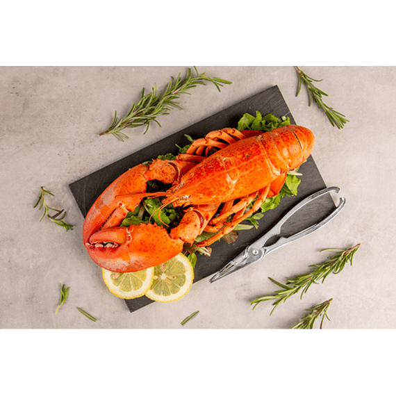 Cosy & Trendy Kreeftentang En Notentang