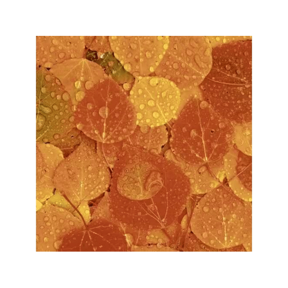 Duni Serviet 33x33cm 20 Stuks Rainy Leaves