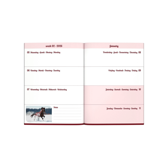 Agenda My Favourite Friends Rennend Paard