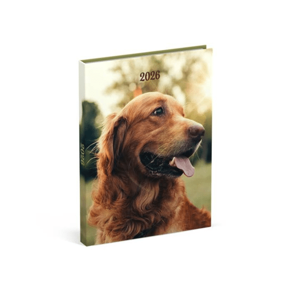Agenda My Favourite Friends Dog Brown