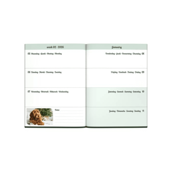 Agenda My Favourite Friends Dog Black