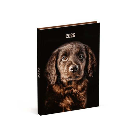 Agenda My Favourite Friends Dog Black