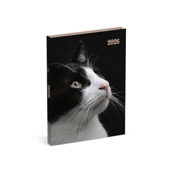 Agenda My Favourite Friends Cat Black