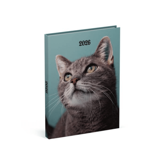 Agenda My Favourite Friends Cat Blue