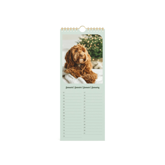 Verjaardagskalender My Favourite Friends