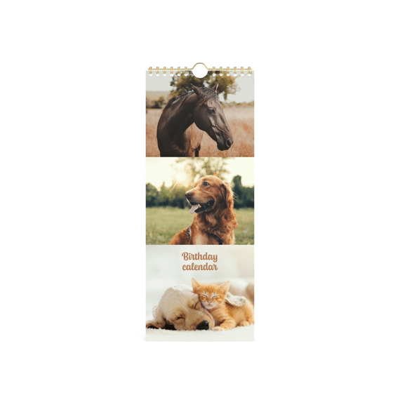 Verjaardagskalender My Favourite Friends