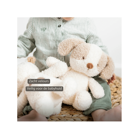Nattou Teddy Knuffel Babyhond 24 Cm