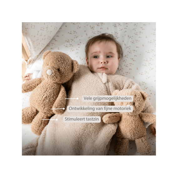 Nattou Teddy Knuffel Babybeer 24 Cm