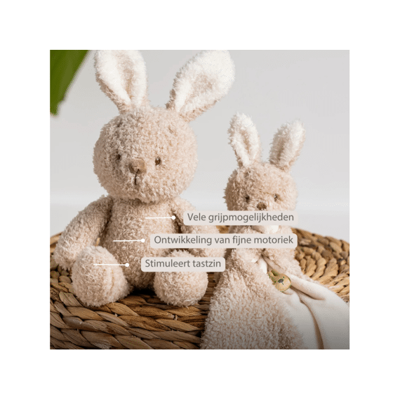 Nattou Teddy Knuffel Babykonijn 24 Cm