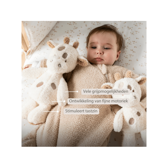 Nattou Teddy Knuffel Babygiraf 24 Cm