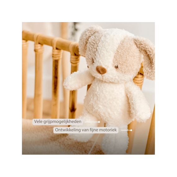 Nattou Teddy Babyhond Muziektrekker