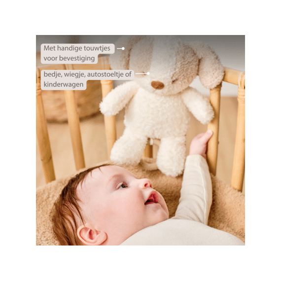 Nattou Teddy Babyhond Muziektrekker