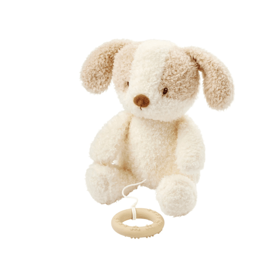 Nattou Teddy Babyhond Muziektrekker