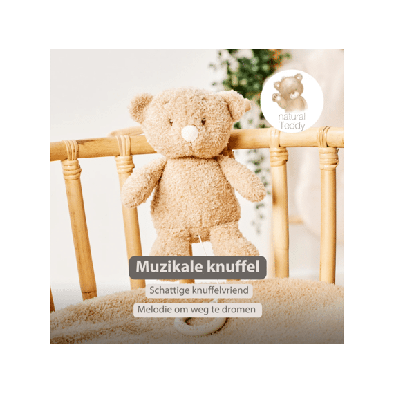 Nattou Teddy Babybeer Muziektrekker