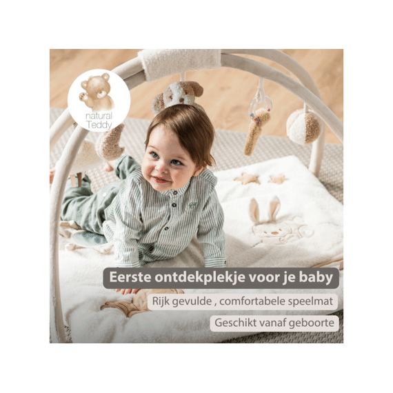 Nattou Teddy Speeltapijt Met Bogen
