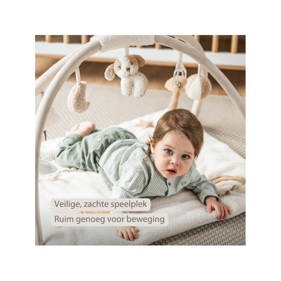 Nattou Teddy Speeltapijt Met Bogen