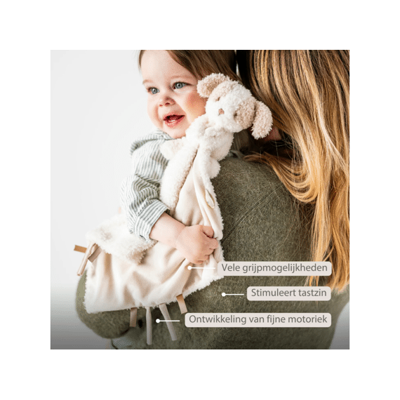 Nattou Teddy Doudou Knuffel Hond 27x27cm