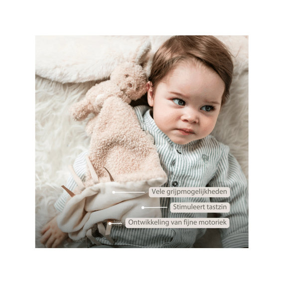 Nattou Teddy Doudou Knuffel Konijn 27x27cm