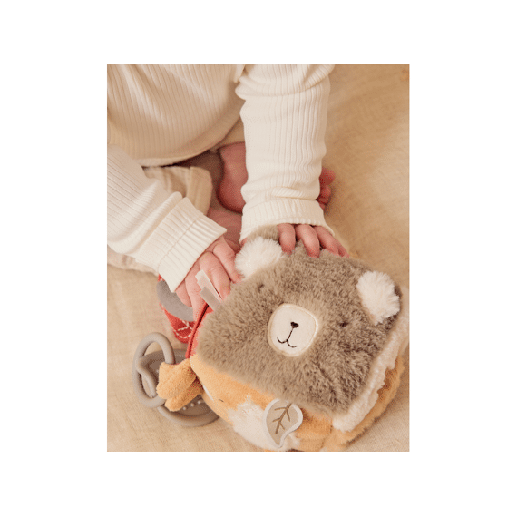 Noukies Fluffy, Orso En Lily Activiteitenkubus