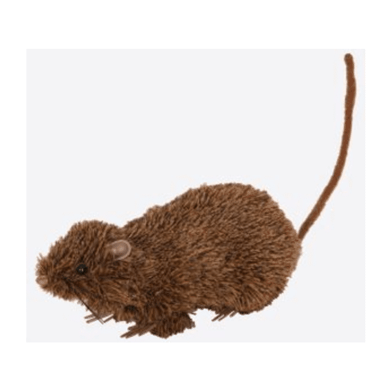 Rat 21cm