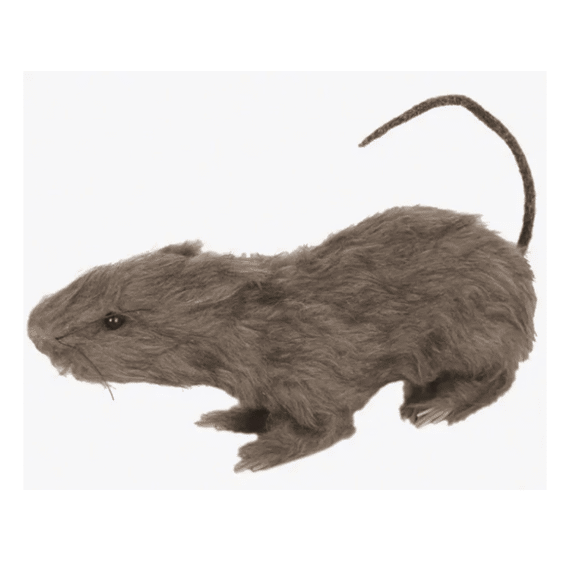 Rat 30cm