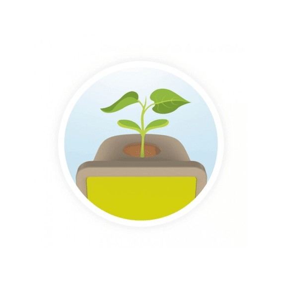 Buki Jonge Plantjes