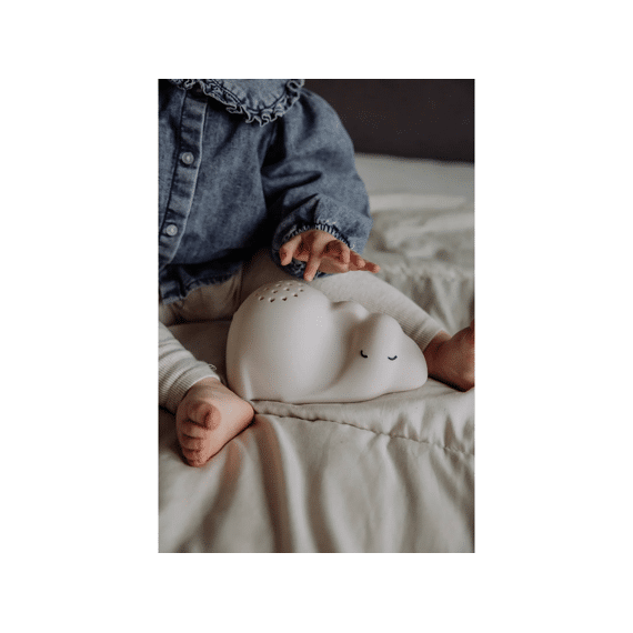 Flow Projector George