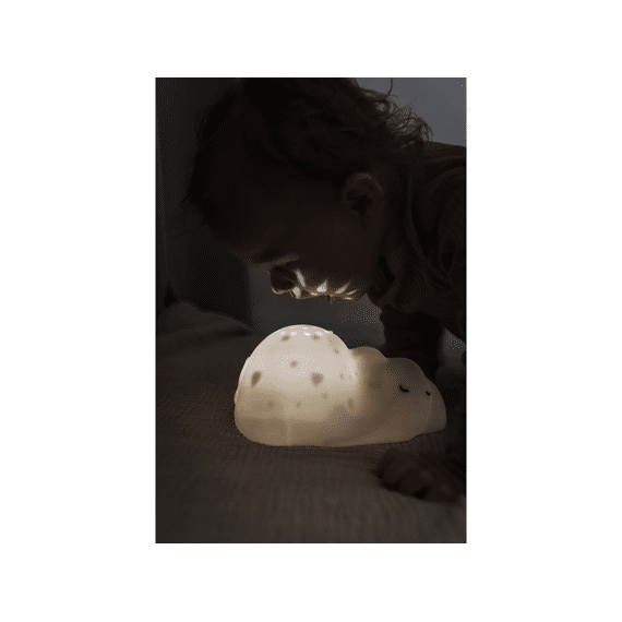 Flow Projector George