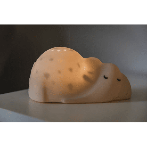 Flow Projector George