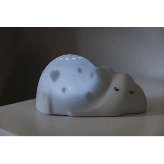 Flow Projector George