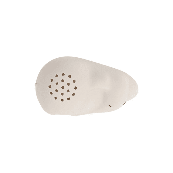 Flow Projector George