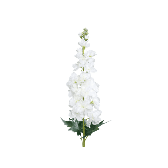 Ridderspoor 77 Cm Cream