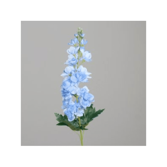 Ridderspoor 77 Cm Blauw