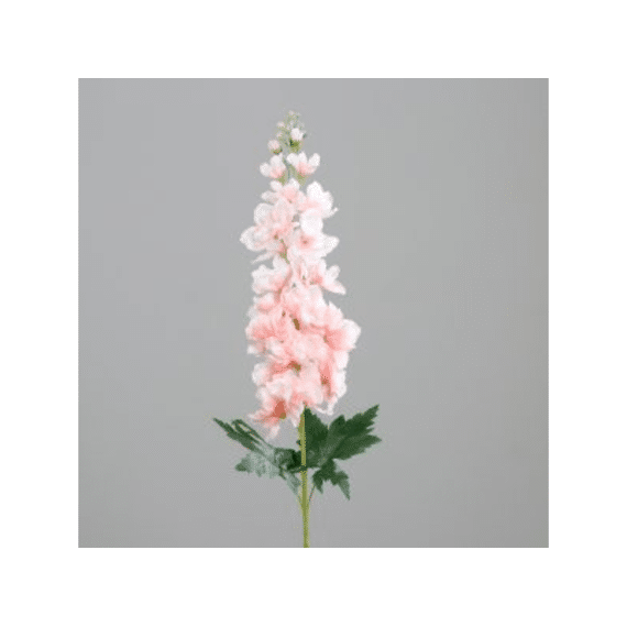 Ridderspoor 77 Cm Roze