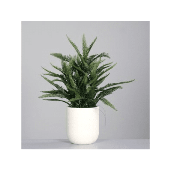 Varen Arrangement In Deco Kunststof Pot 85 Cm