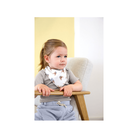 Lassig Bandana Bib 2 Stuks Tiny Team Dog