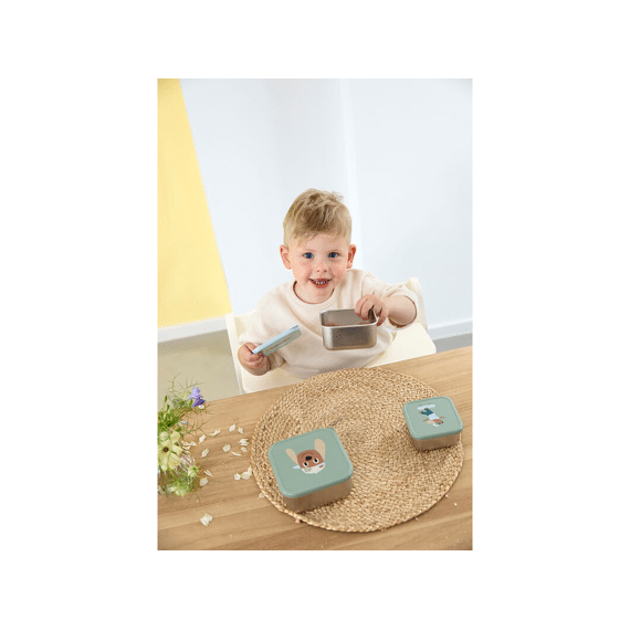 Lassig Snackbox 3 Stuks Tiny Team Dog