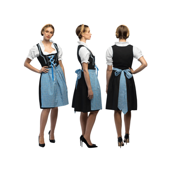 Volwassenenkostuum Frau Fischer Blauw 40/42