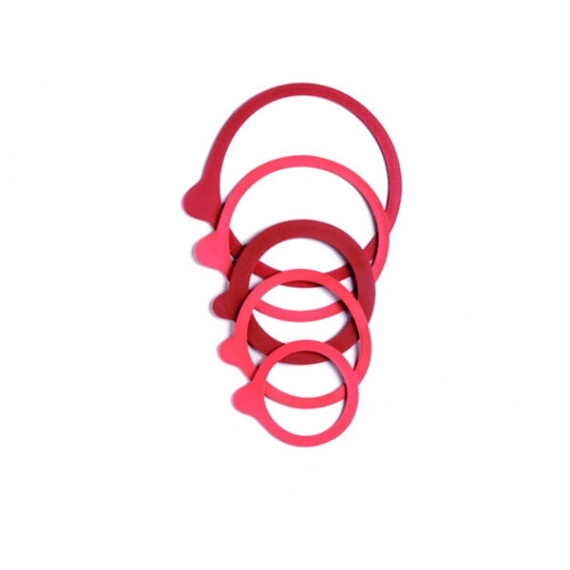 Weck Ekw Ring Rood 94x108 Set/6