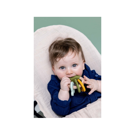 Trixie Toys Houten Silicone Activiteitenring Mr Dino