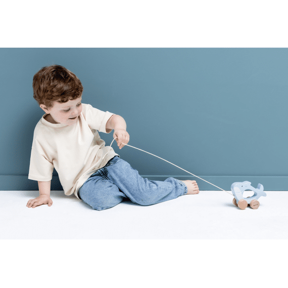 Trixie Toys Houten Trekspeeltje Mr Shark