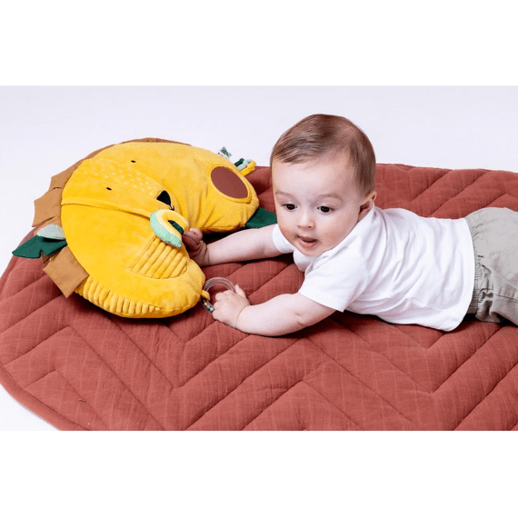 Trixie Tummy Time Kussen Mr Lion