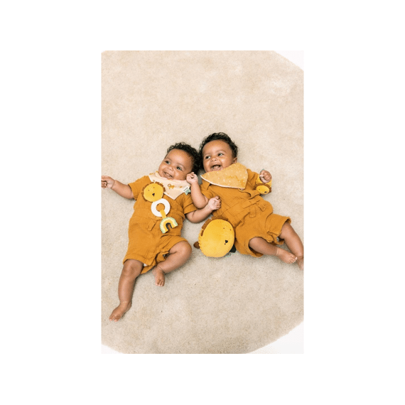 Trixie Toys Bijtring Mr Lion