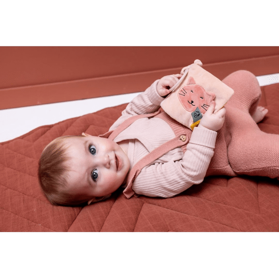 Trixie Toys Sensorisch Buggyboek Mrs Cat